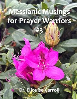 Messianic Musings for Prayer Warriors #3 book cover